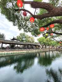 🌳《一棵金樹與一場柔軟的邂逅──我的惠山古鎮漫行記》