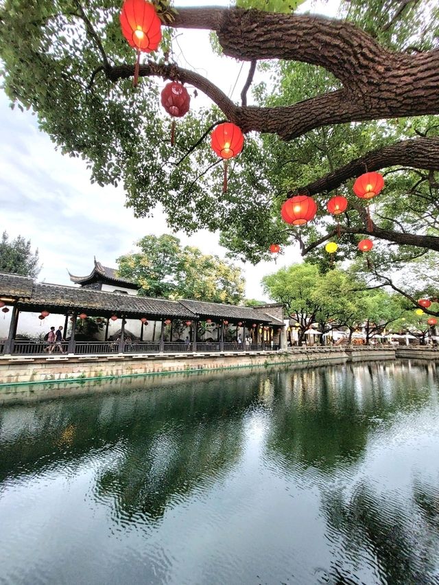 🌳《一棵金樹與一場柔軟的邂逅──我的惠山古鎮漫行記》