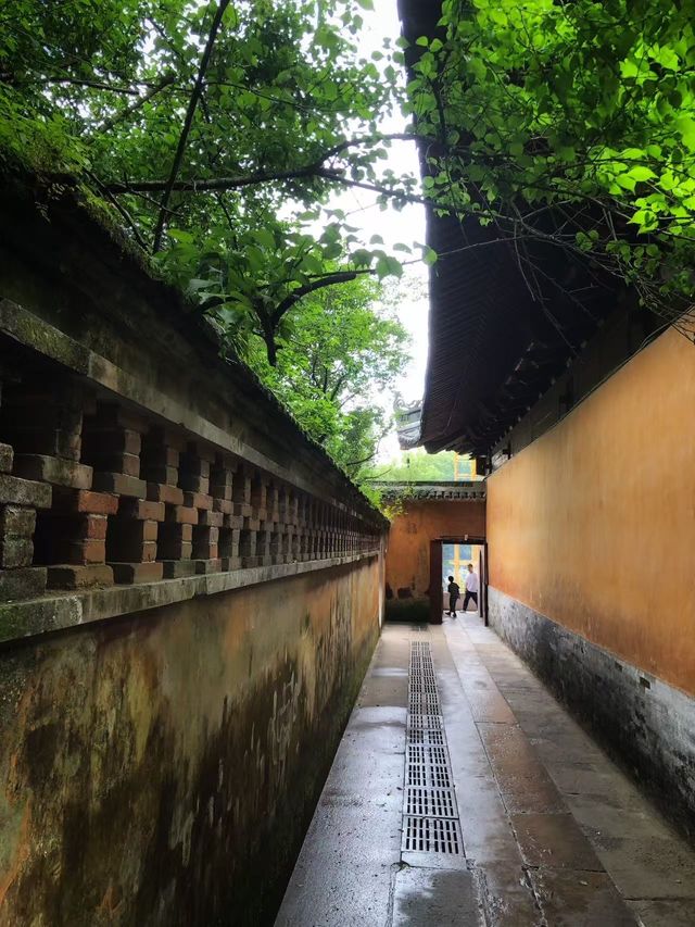 國清寺攻略·解鎖千年古剎的正確打開方式