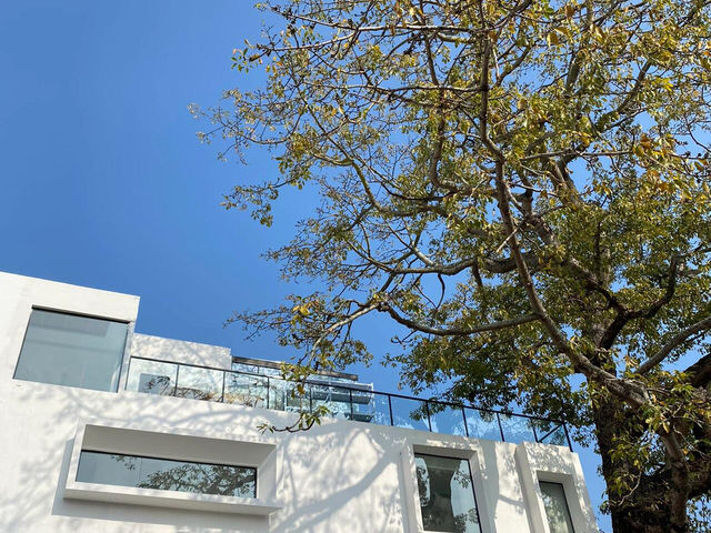 珠海淇澳島必住！飲嵐·白舍の園景慢時光🌴