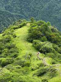 四川人嘅阿勒泰！4處空中牧場靚到想定居