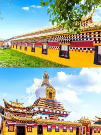 探索阿壩，入住溫馨小窩！