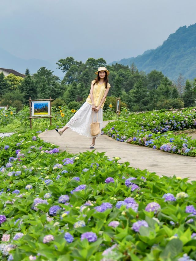 成都2小時｜玩水賞花摘藍莓值得N刷嘅避暑勝地！！喺成都周邊搵