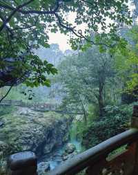 峨眉山避坑指南｜本地人私藏2日精華路線