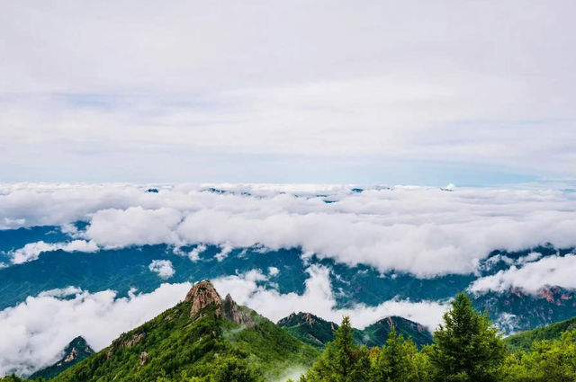 霧靈山