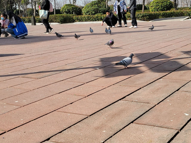 古建築探秘指南