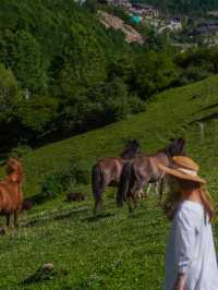 Hotel Indigo Jiuzhai | Riding White Horses into Summer’s Emerald Verse