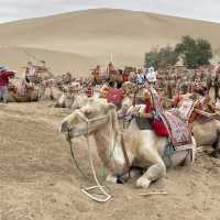 DunHuang Gobi Desert!