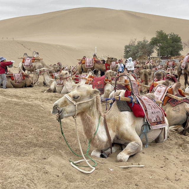 DunHuang Gobi Desert!