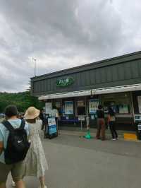 藍色的北海道白金青池