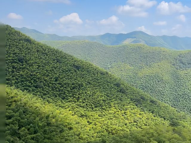 去了4次宜興窯湖小鎮，終於玩明白了！