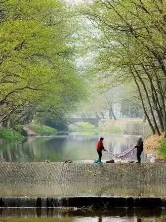 【合肥周邊】25℃避暑天堂！