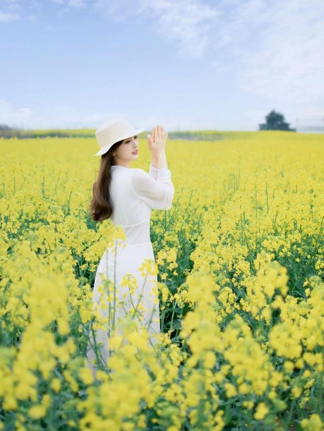 去門源油菜花海千祈唔好犯呢啲禁忌！否則後悔莫及