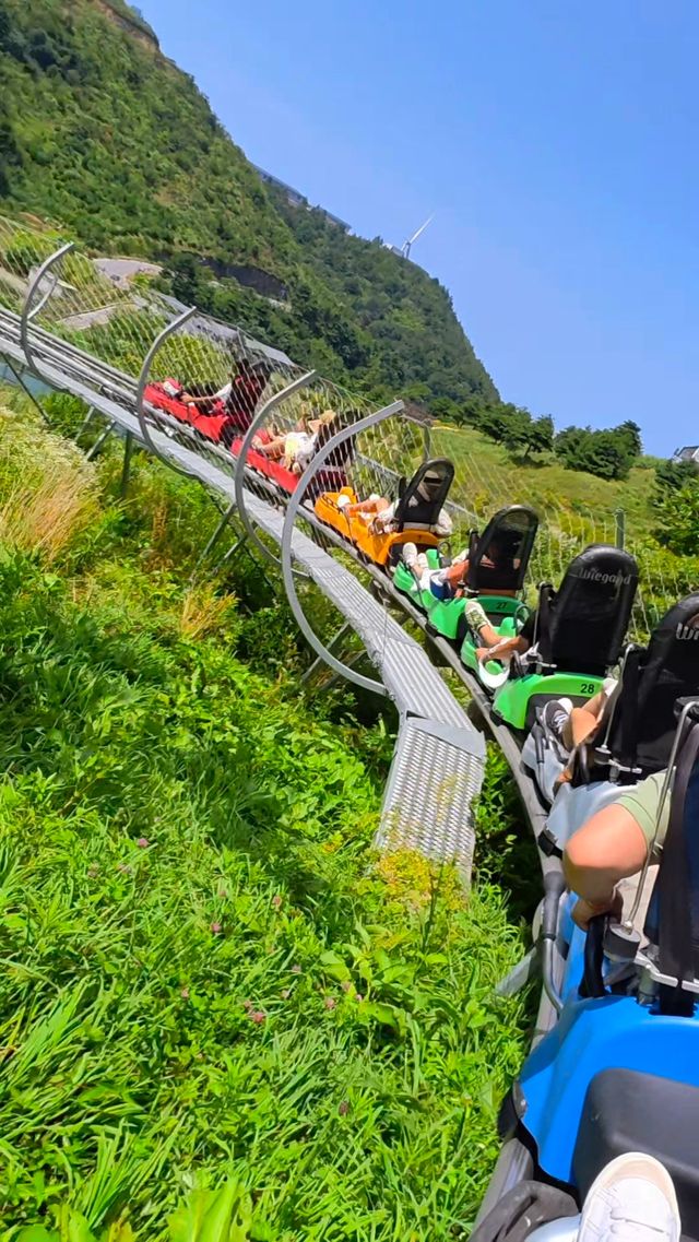 在湖北！21º嘅高山草原，夏天真係舒服到震～