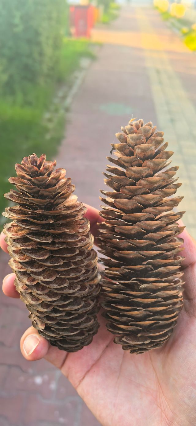 最意外的昭蘇小長假這條寶藏路線承包了我整個夏天的美好回憶！從壯美的伊昭公路到溫馨的瑞悅酒店，感受到