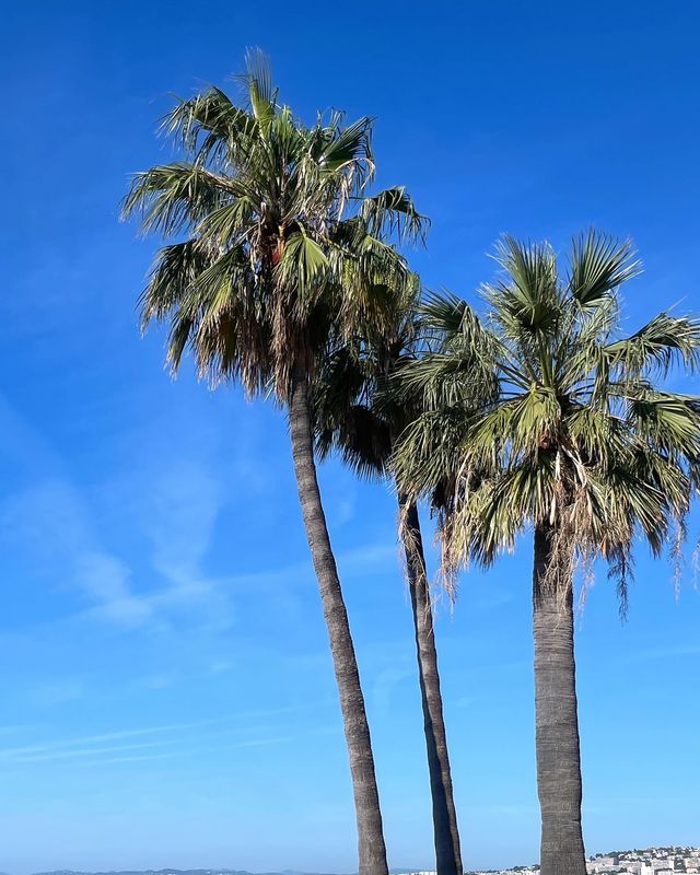 「人生總要擁有一個南法嘅盛夏～」八日攻略