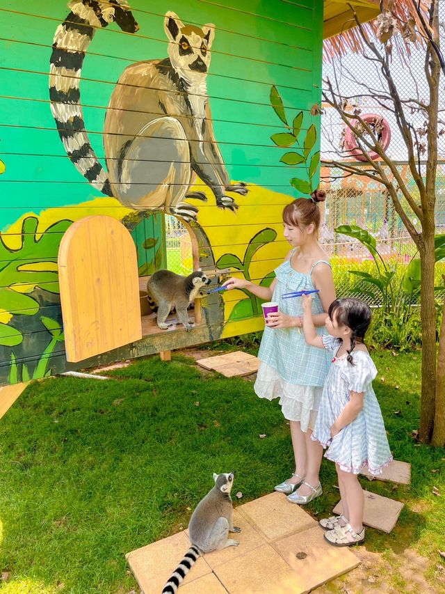 原本以為大理夠靚啦…直到嚟到呢度……
