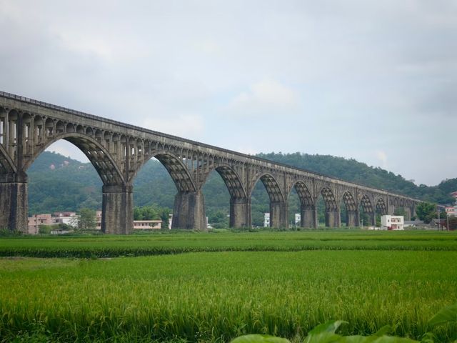 寶藏小城雲浮新興保姆級攻略｜3日玩轉禪意之地！