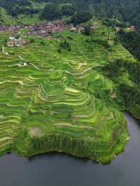 白雲白岩寨：600年布依隱世秘境