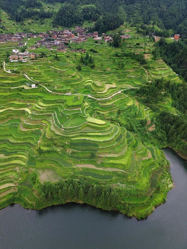 白雲白岩寨：600年布依隱世秘境