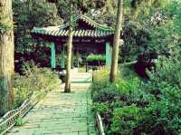 Exploring Yiwu’s Best Jogging Trails: A Runner’s Paradise