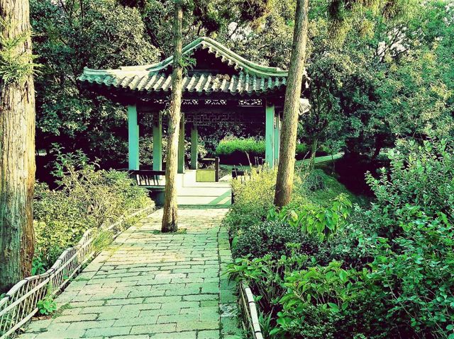 Exploring Yiwu’s Best Jogging Trails: A Runner’s Paradise