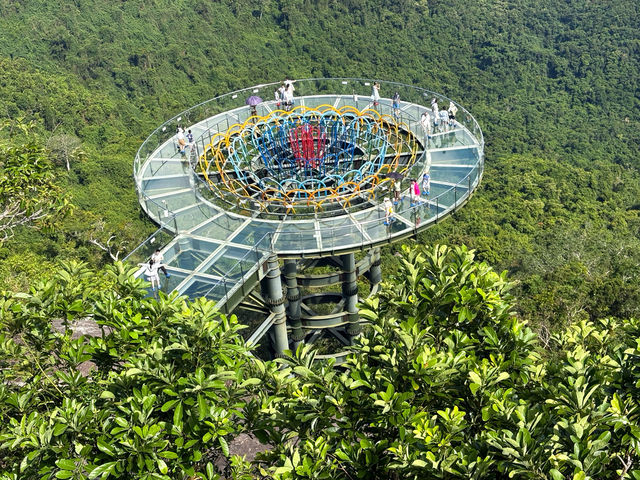 Trip to the Glass Bridge in Yalong Bay Tropical Paradise Forest P Trip to the Glass Bridge in Yalong Bay Tropical Paradise Forest P