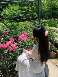 人隨花好
