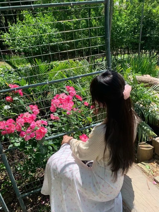人隨花好