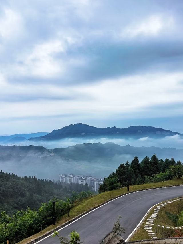 瀘州周邊遊2h｜現實版暮光森林