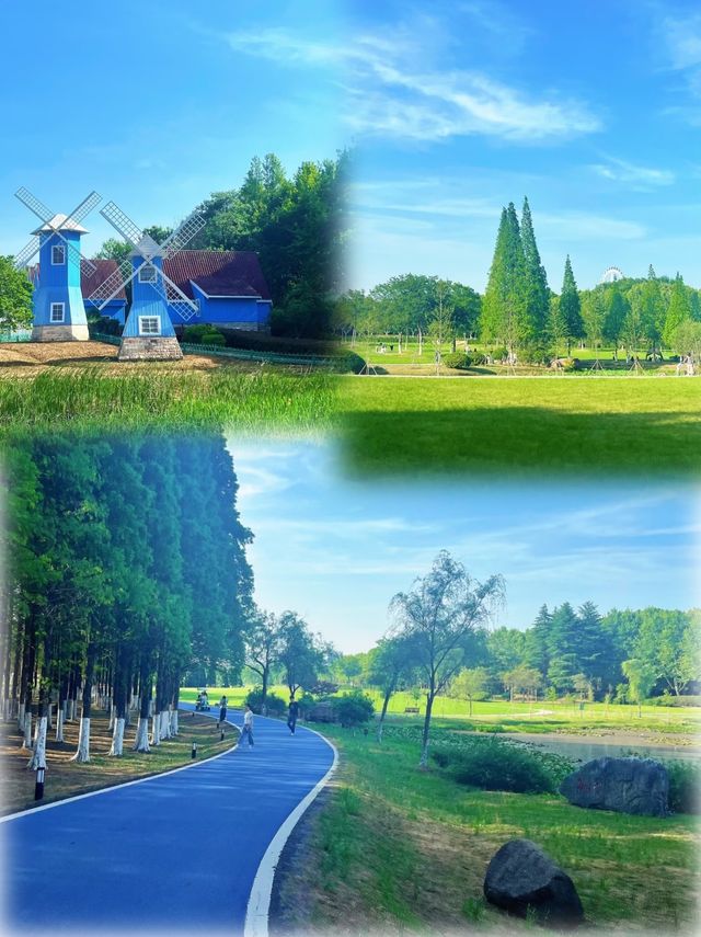龍背山森林公園已回，真不建議8月去，因為真的太香了！