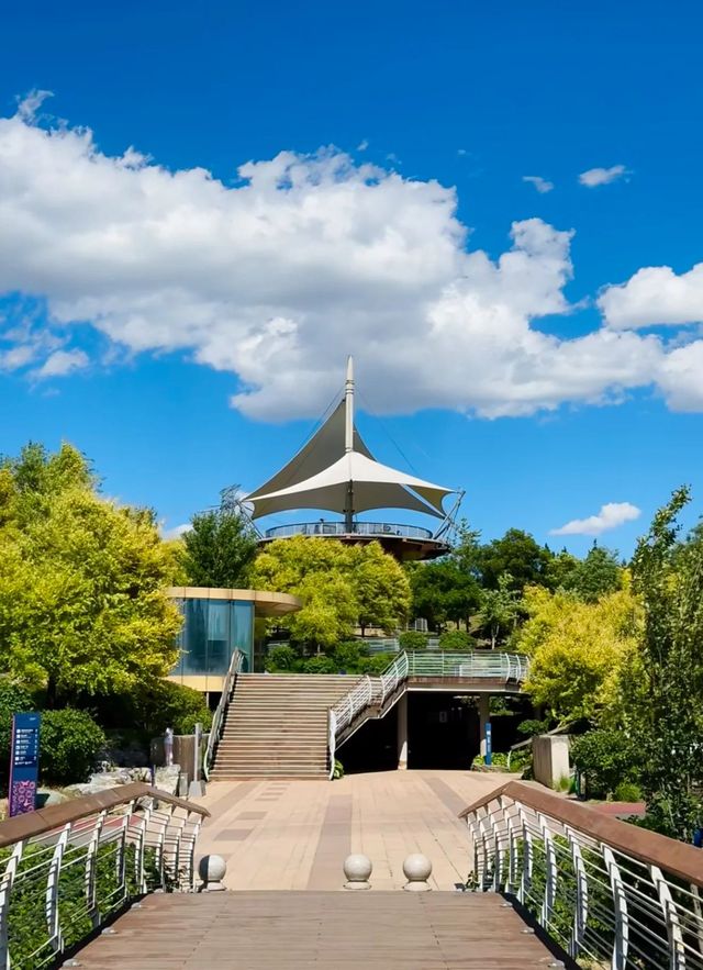北京被低估的免費公園｜不去後悔系列