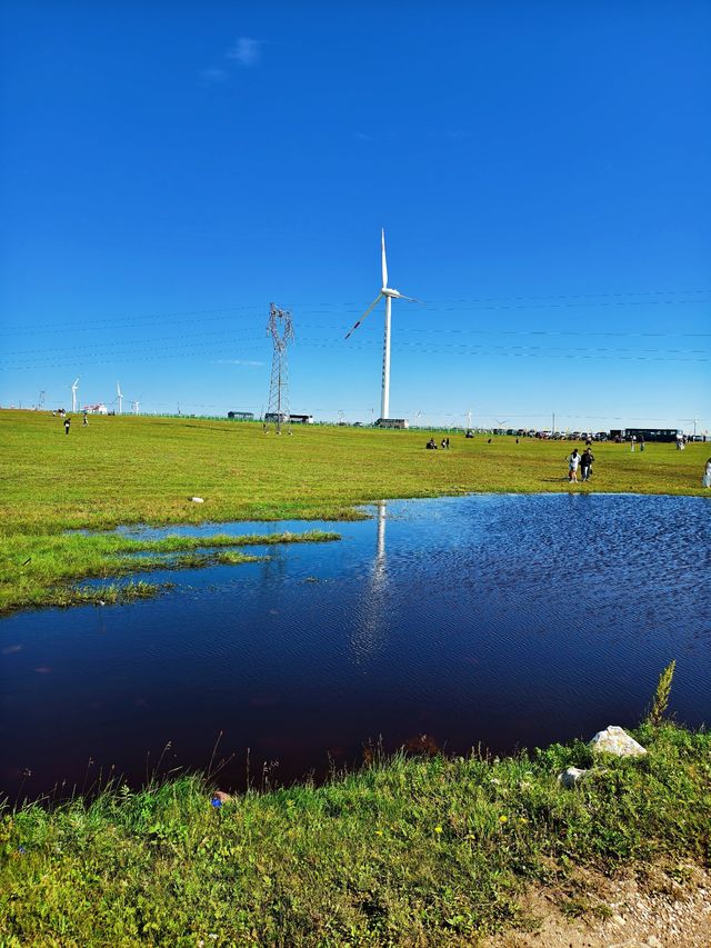 敲重點：呼和浩特周邊草原「避坑」全攻略
