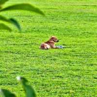 寧國會客廳，城市新名片