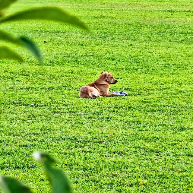 寧國會客廳，城市新名片