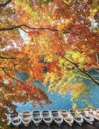 日本紅葉3大區穩妥觀賞期指南來啦