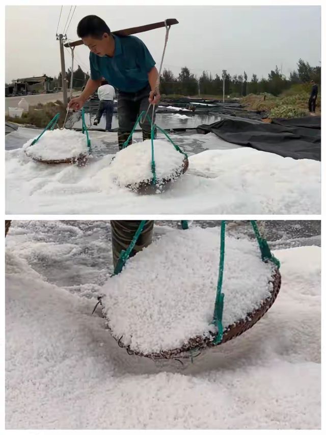 徐聞兩天，邂逅中國大陸最南端的浪漫。