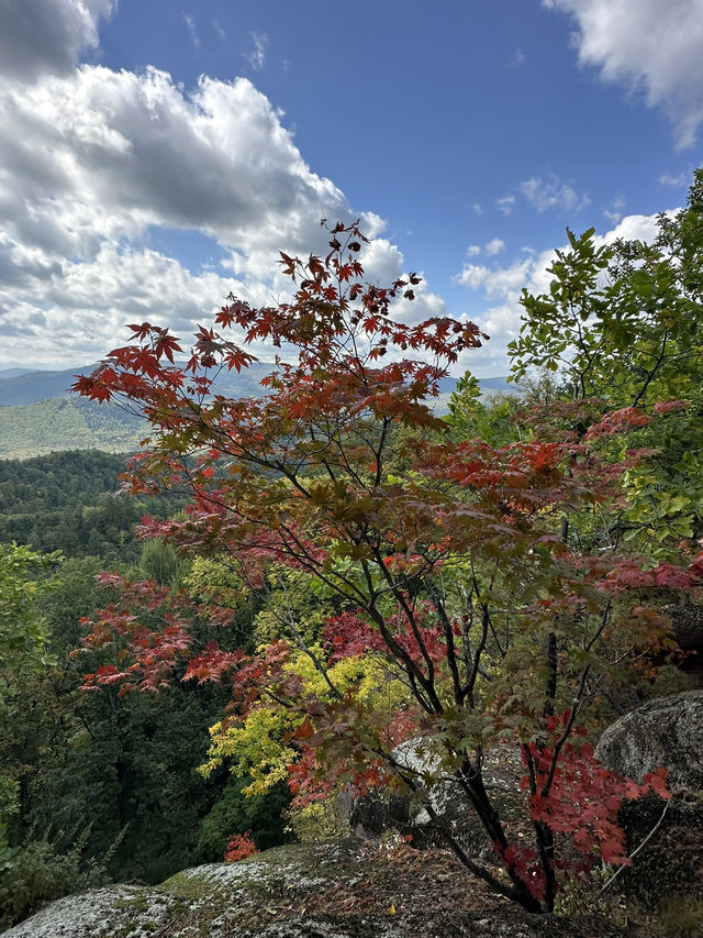 長白山紅石峯生態風景區紅楓染紅了峯頂