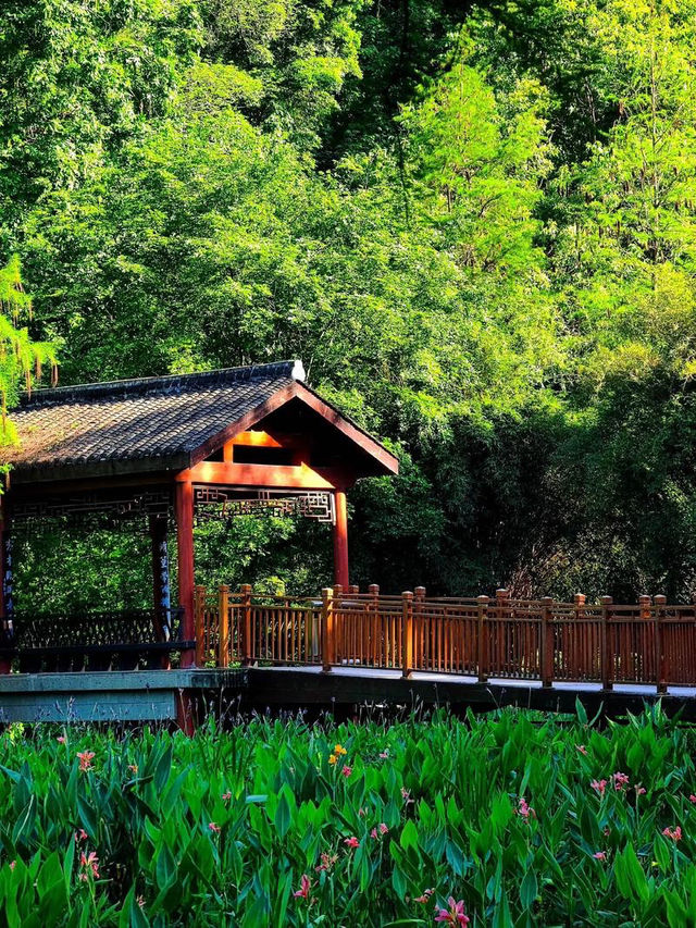 重庆彩云湖濕地公園:都市中的自然詩篇 重庆彩云湖濕地公園:都市中的自然詩篇