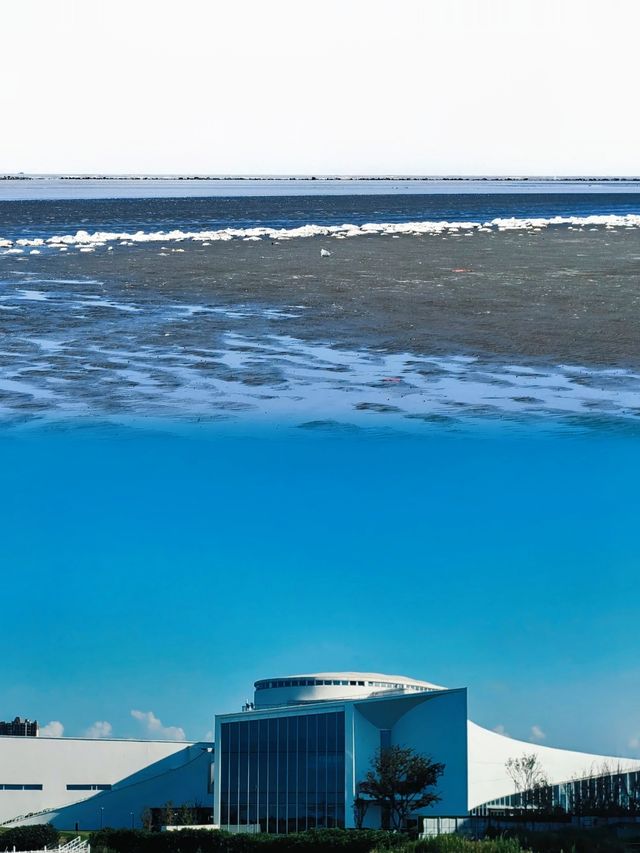 南通看海天花板！十里海灘的治癒感我能吹一年