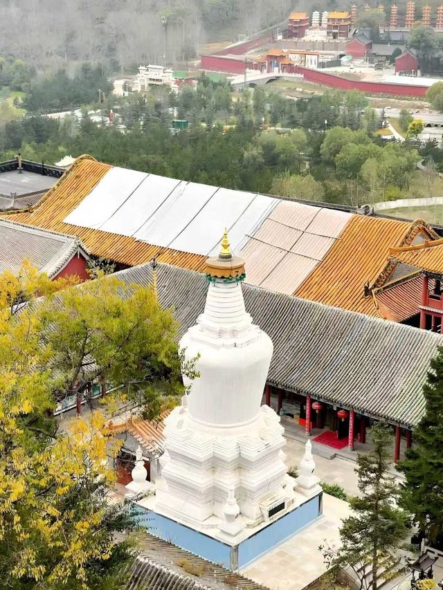 五臺山超全避暑攻略｜一半佛國・一半山野，20℃的夏天