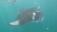 Unforgettable Experience at Milaidhoo