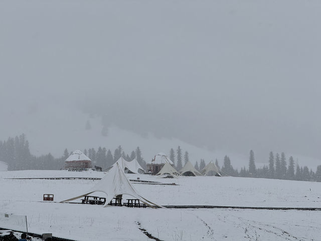 下雪的伊犁那拉提空中草原