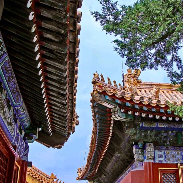 北京故宮完全攻略🏯初訪りでも安心！