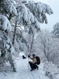 嵩山雪後必去！一秒穿越武俠仙境，美到窒息！