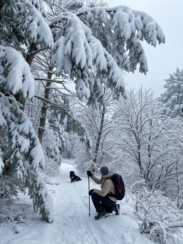 嵩山雪後必去！一秒穿越武俠仙境，美到窒息！