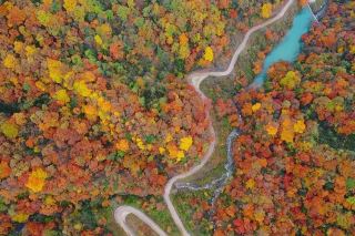 Golden Autumn in October: The Most Beautiful Autumn Scenery in Qinba Travel Guide