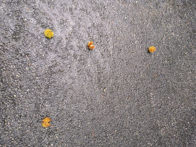 霧隱嵐山火燭幽