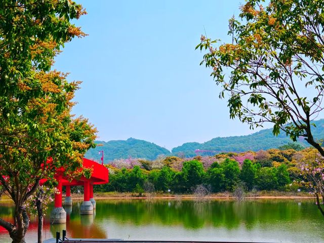 深圳週末遛娃首推打卡地 深圳週末遛娃首推打卡地