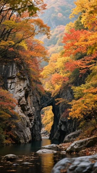 Проведите 3 дня и 2 ночи в Бэньси золотой осенью, наслаждаясь китайской столицей кленового листа и открывая для себя поэтический Северо-Восток!